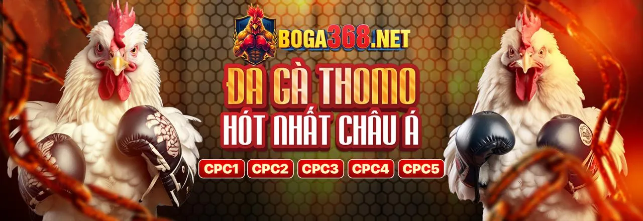 Minh họa cơ chế hoạt động của máy đánh bạc vn666 nổ hũ