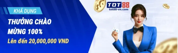 VIP Program